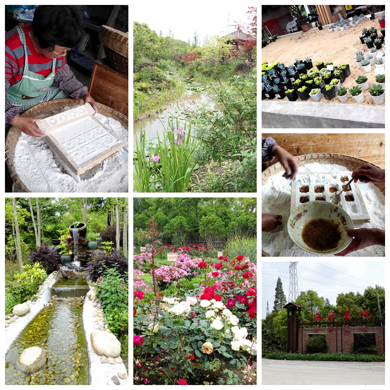 000.jpg 陪伴让爱更真实丨2016辰竹家庭日·就想和你在一起