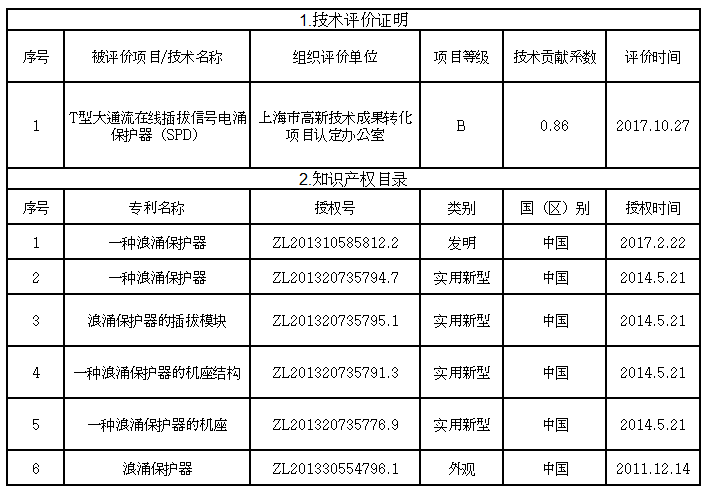 喜讯丨辰竹T系列电涌保护器（SPD）荣获上海市高新技术成果转化项目认定