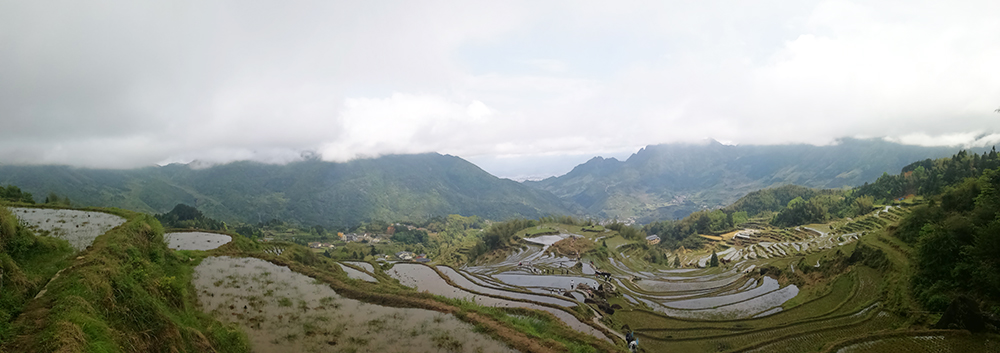 辰竹_云和梯田.jpg The 16th Anniversary of Chenzhu| the Tourism in Lishui, Zhejiang