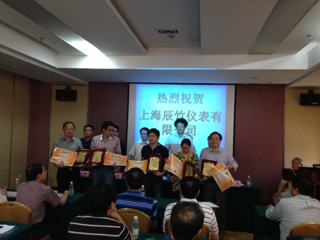 辰竹仪表荣获2012年度“经济运行十佳企业”殊荣