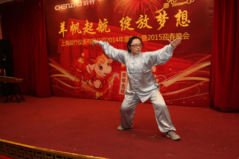 辰竹仪表2014总结大会暨2015年新春联欢会隆重举行