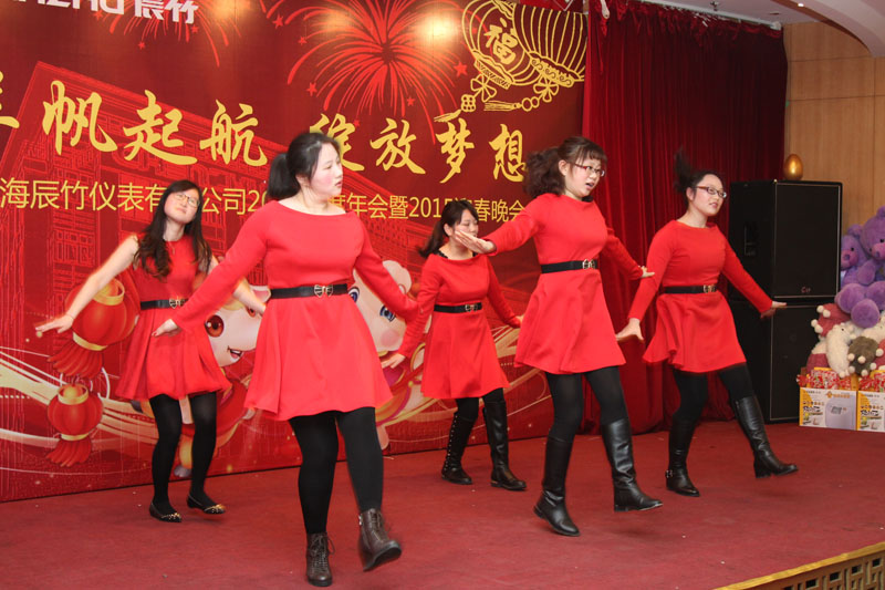 辰竹仪表2014总结大会暨2015年新春联欢会隆重举行