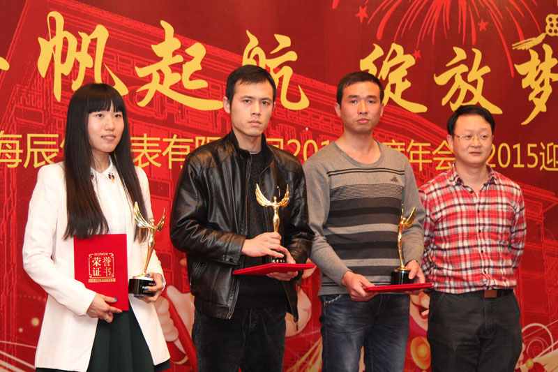辰竹仪表2014总结大会暨2015年新春联欢会隆重举行