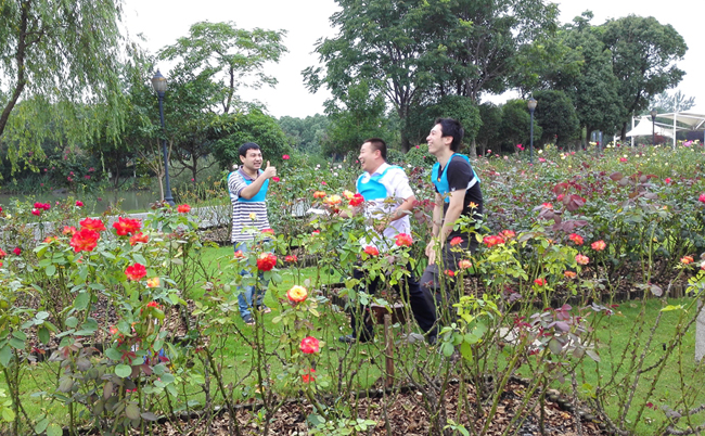 玫瑰之夏,浪漫相约--记辰竹营销人欢聚活动