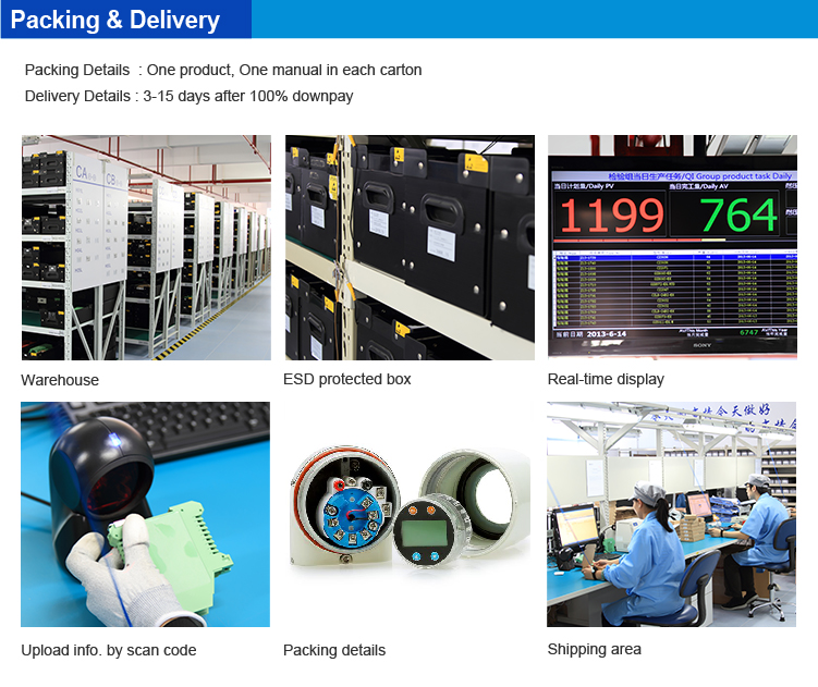 Explosion proof field display isolated temperature transmitter
